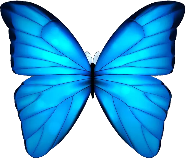 Butterfly Blue Clip Art Blue Butterfly White Background