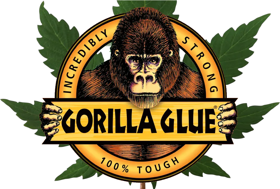 Transparent Gorilla Logo Png Gorilla Glue Strain Logo