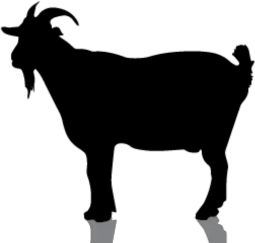 Goat Silhouette Png
