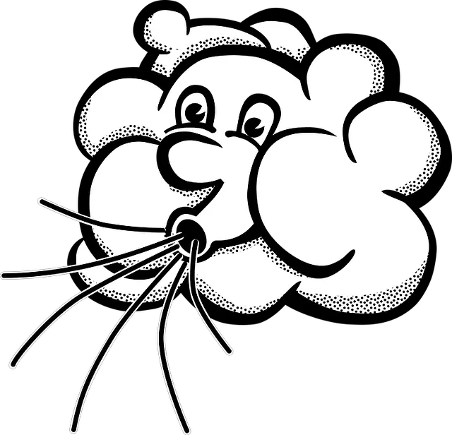 Wind