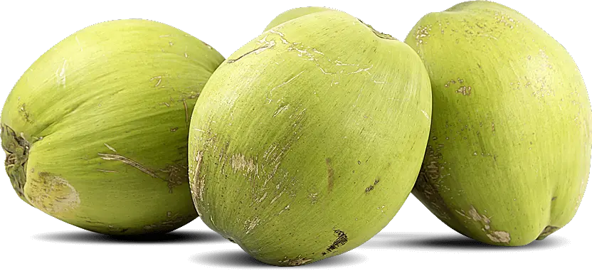 Transparent Tender Coconut Png Fresh Coconut Water Png