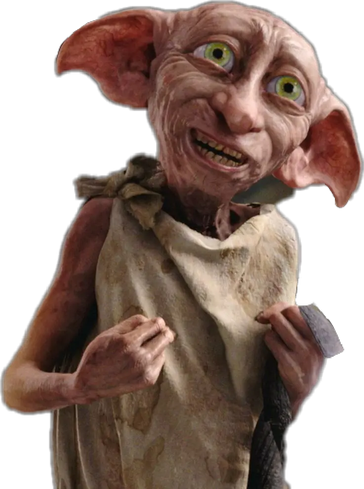 Harrypotter Potterhead Report Dobby Harry Potter