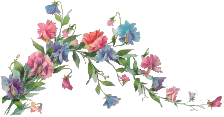 flower flowers flora floral vintage Transparent Background Floral Png