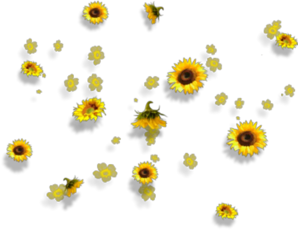 Yellow Flowers Aesthetic Tumblr Falling Clipart