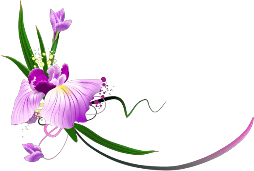 Free Png Download Beautiful Purple Floral Decor Clipart Border Free Clipart Flowers