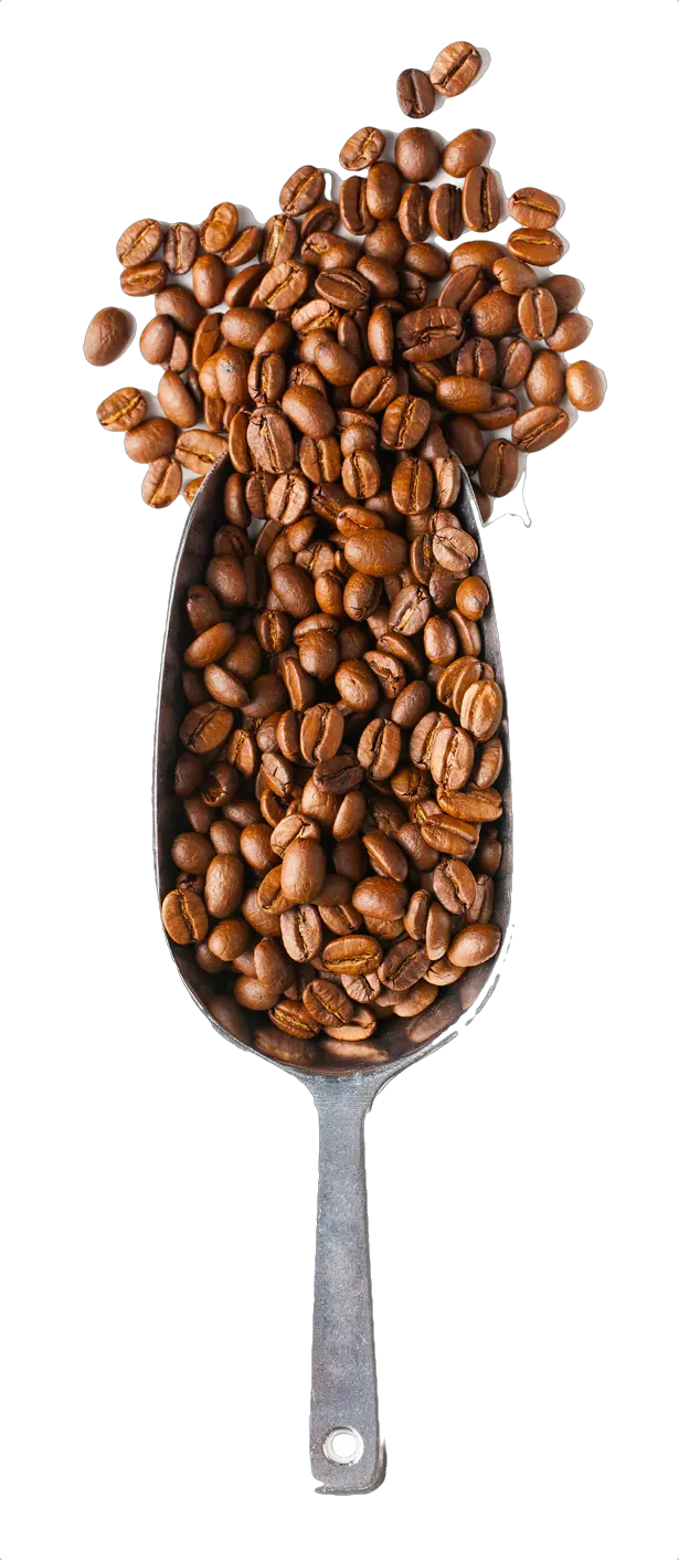 Coffee Beans And Spoon Png