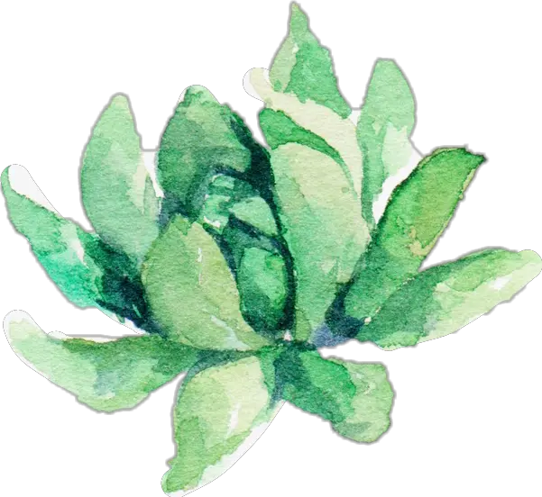 watercolor plant aesthetic suculent Watercolor Plant Png