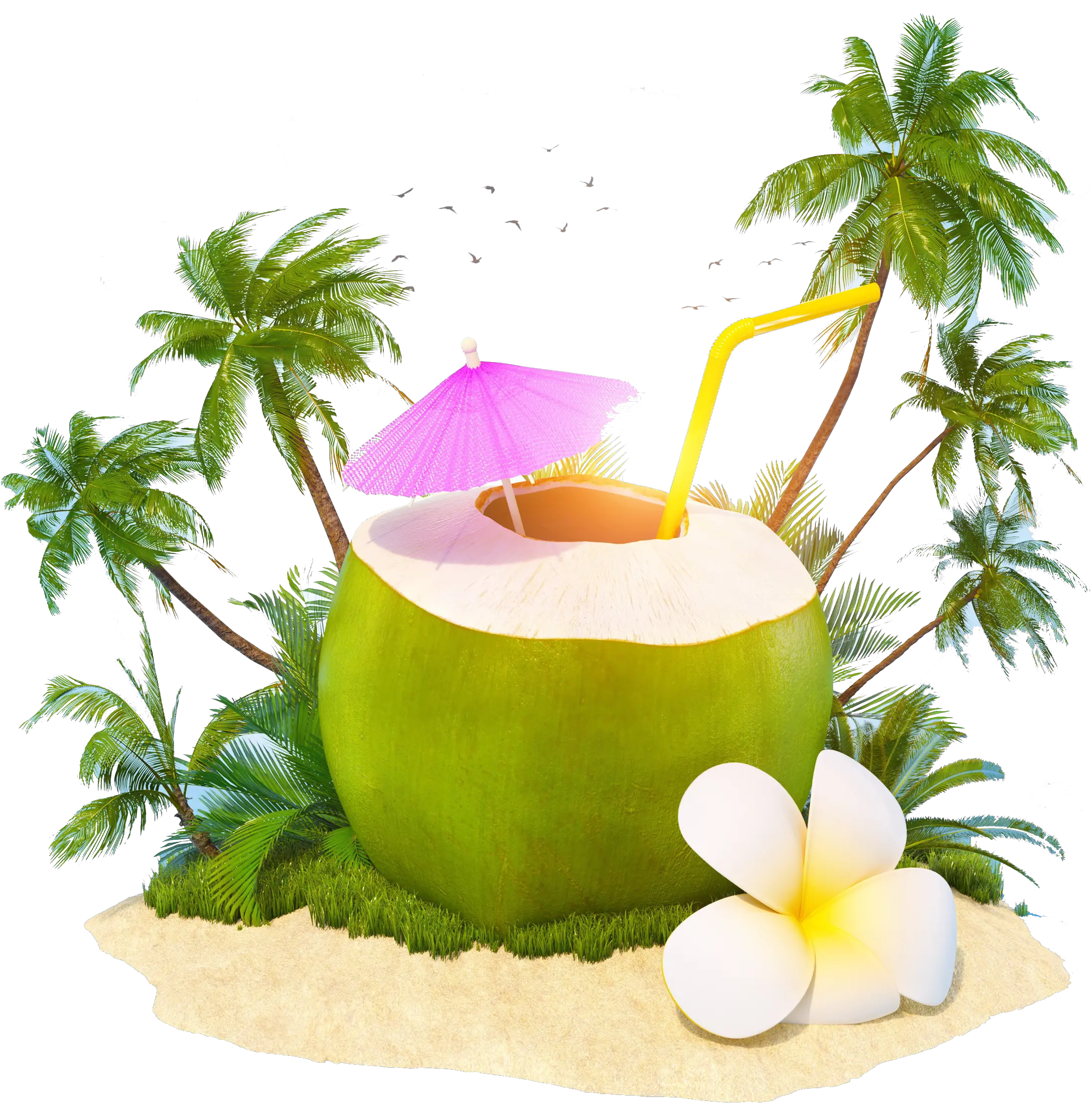 Transparent Coconut Png World Coconut Day 2019