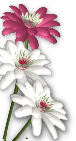 Massages Clipart Abstract Flower Photoshop Flower Background Png