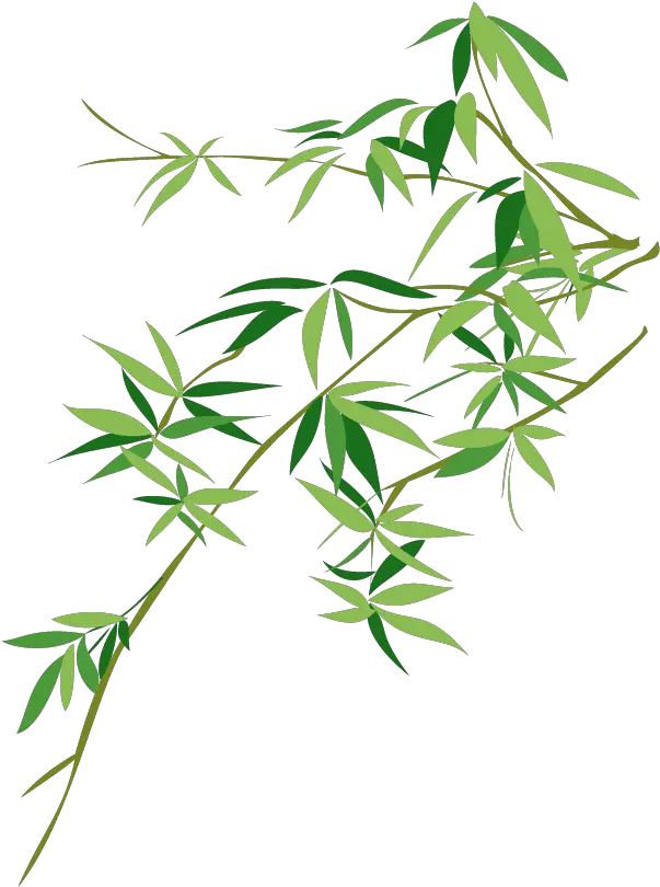 Vector Bamboo Bambusodae Painting Chinese Png Download Bamboo Leaf Vector Png