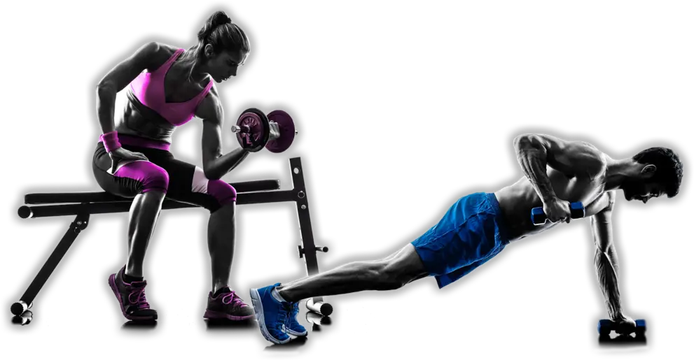 Fitness Png Transparent Background Fitness Png
