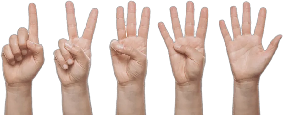 Get Finger Load20180523 Masha Point Hand Counting 1 To 5