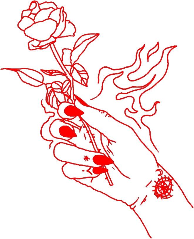 aesthetic red rose flowers flower roses floral Transparent Background Png Aesthetic
