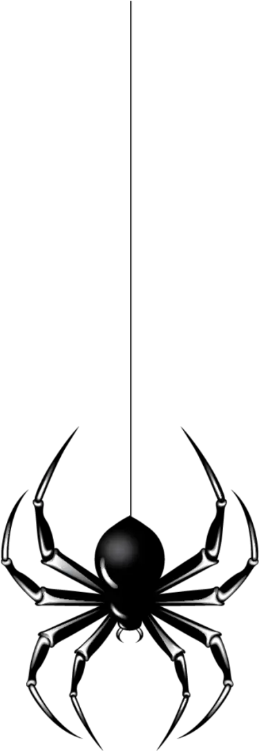 Halloween Spider Png