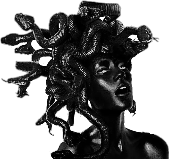 Vaporwave Aesthetic Black Medusa Snake Statue Grunge Myths And Legends Art