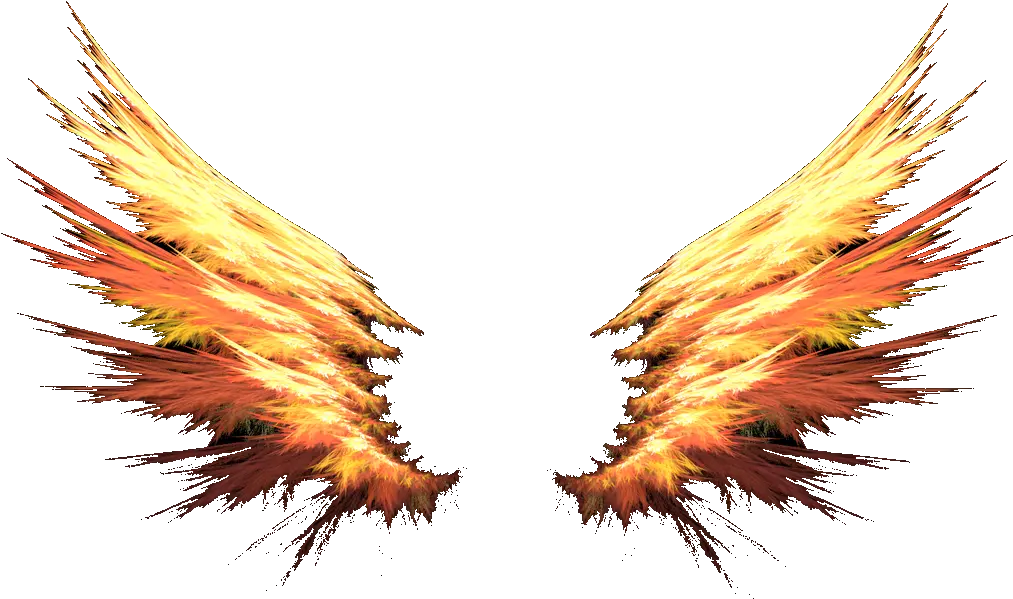 asas wings fire fogo devil diabo angel anjo Fire Wings Png