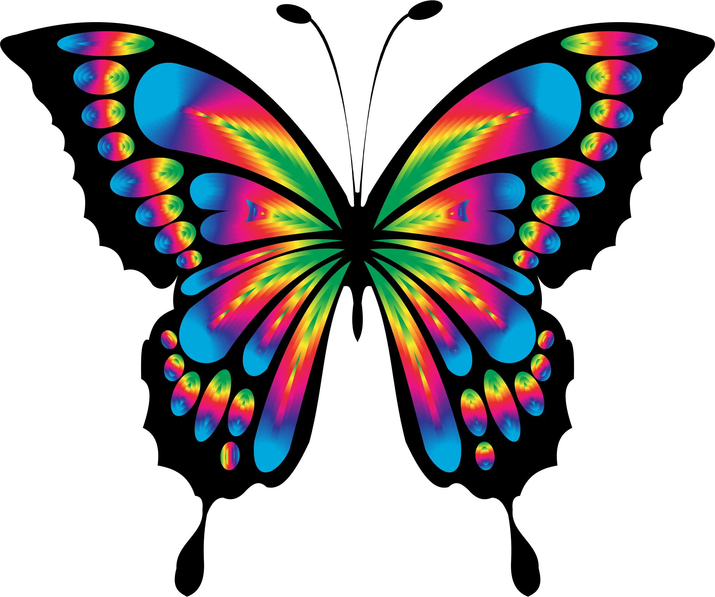 Free Photo Animal Colorful Butterfly Abstract Chromatic Colorful Butterfly Clipart