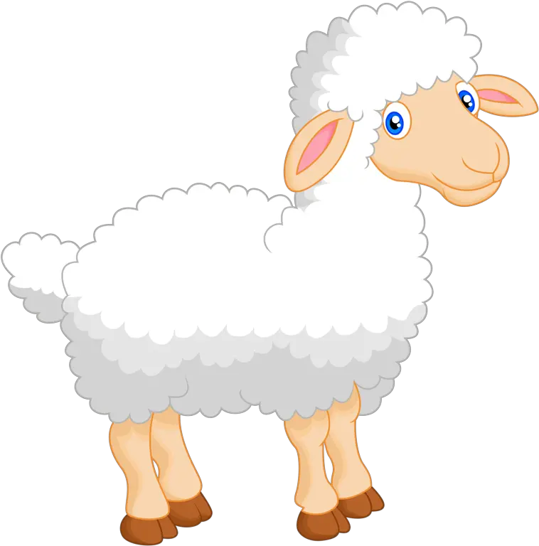 Sheep Clipart Animals Cute Funnypictures Png Png Sheep Sheep