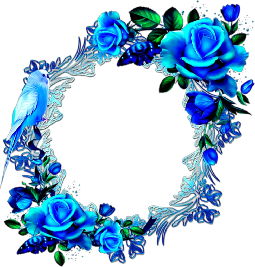 Border Blue Flower Transparent Background