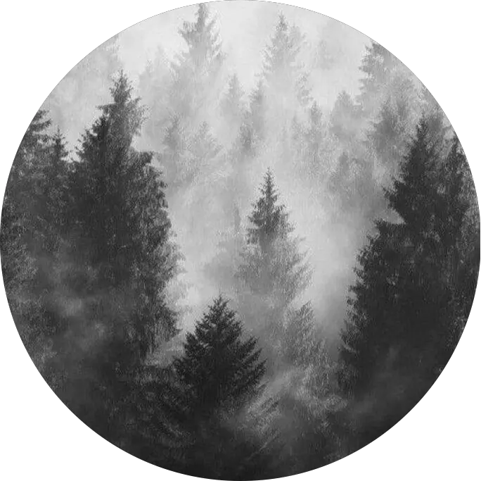 circle grey aesthetic freetoedit Black And Grey Aesthetic Forest