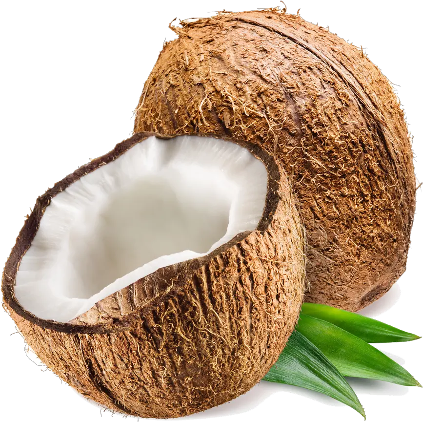 Coconut Png Transparent Photo Victoria Secret Coconut Passion Edp