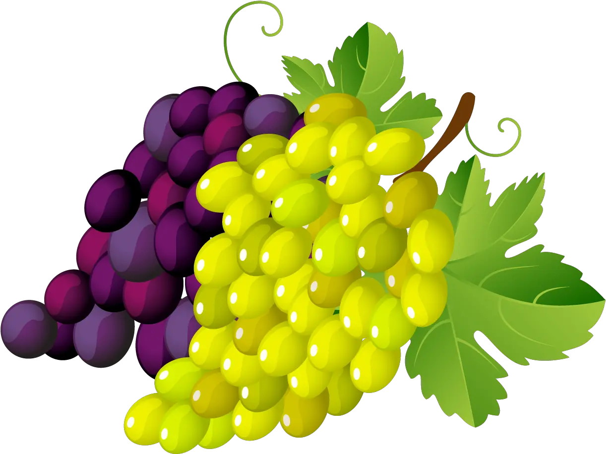 Transparent Clipart Image Grapes Png Clipart Green Grapes Clipart Transparent Background