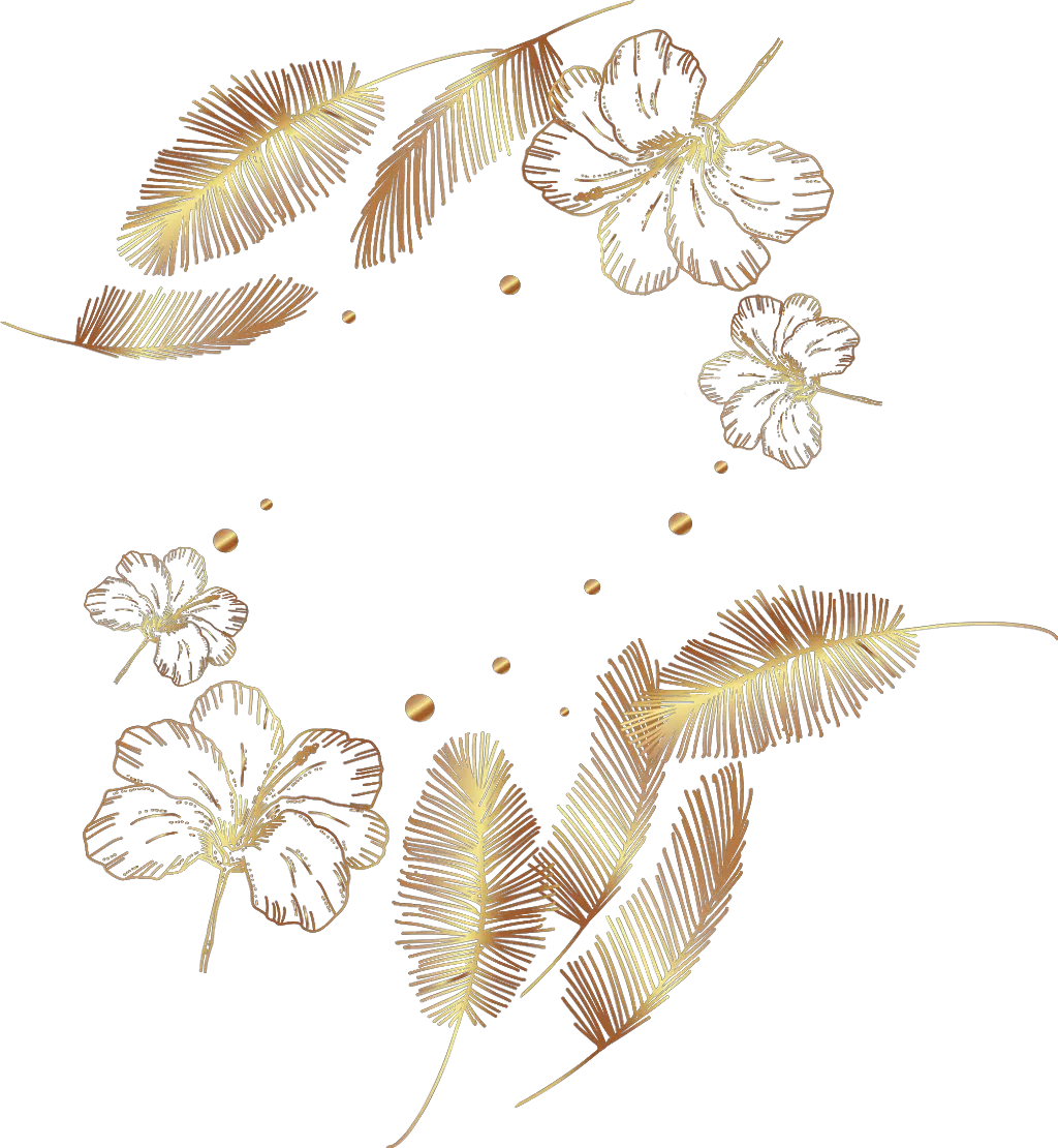 frame border divider feathers feather filigree