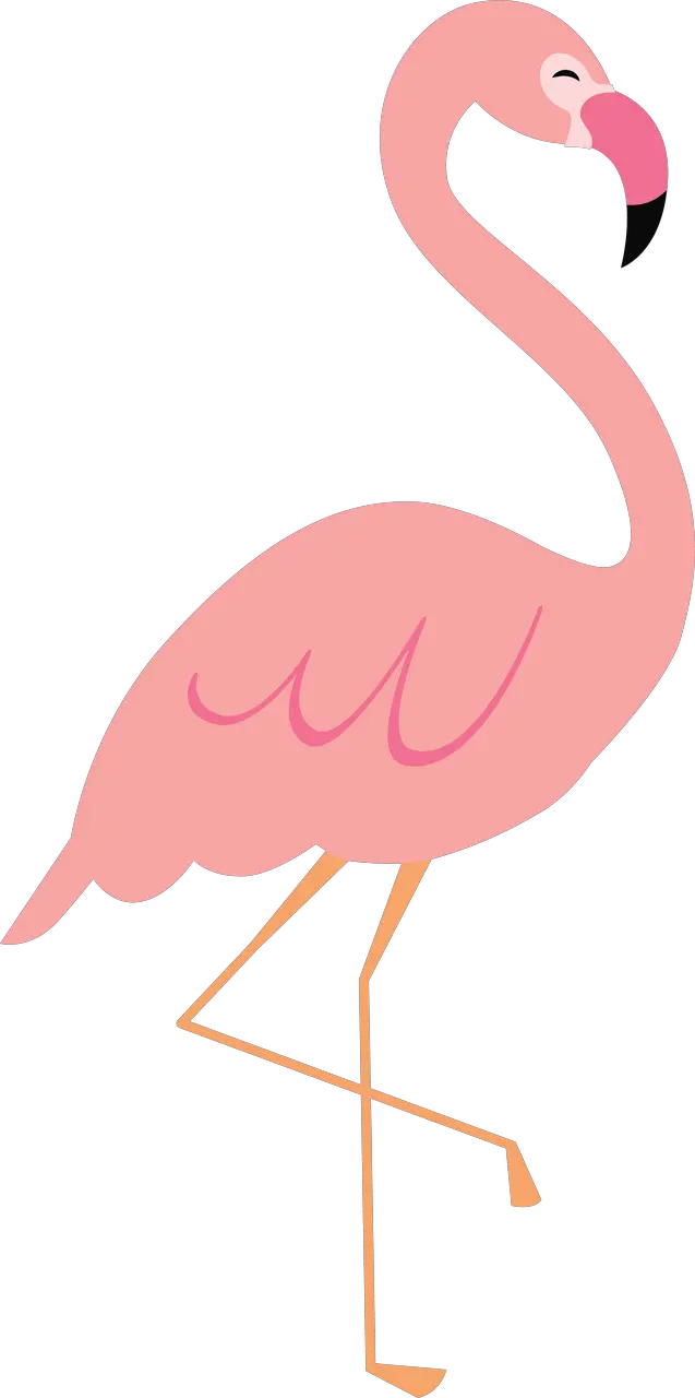 Flamingo Clip File Clip Art Flamingo Png