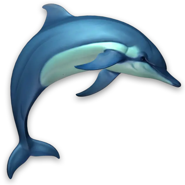 Dolphins 3d