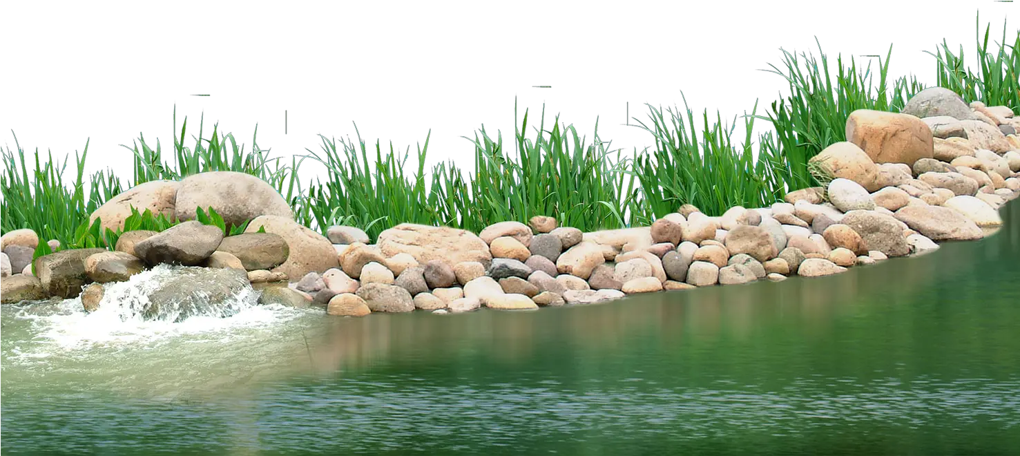 Pebbles Clipart Underwater Plant Transparent Background Pond Png