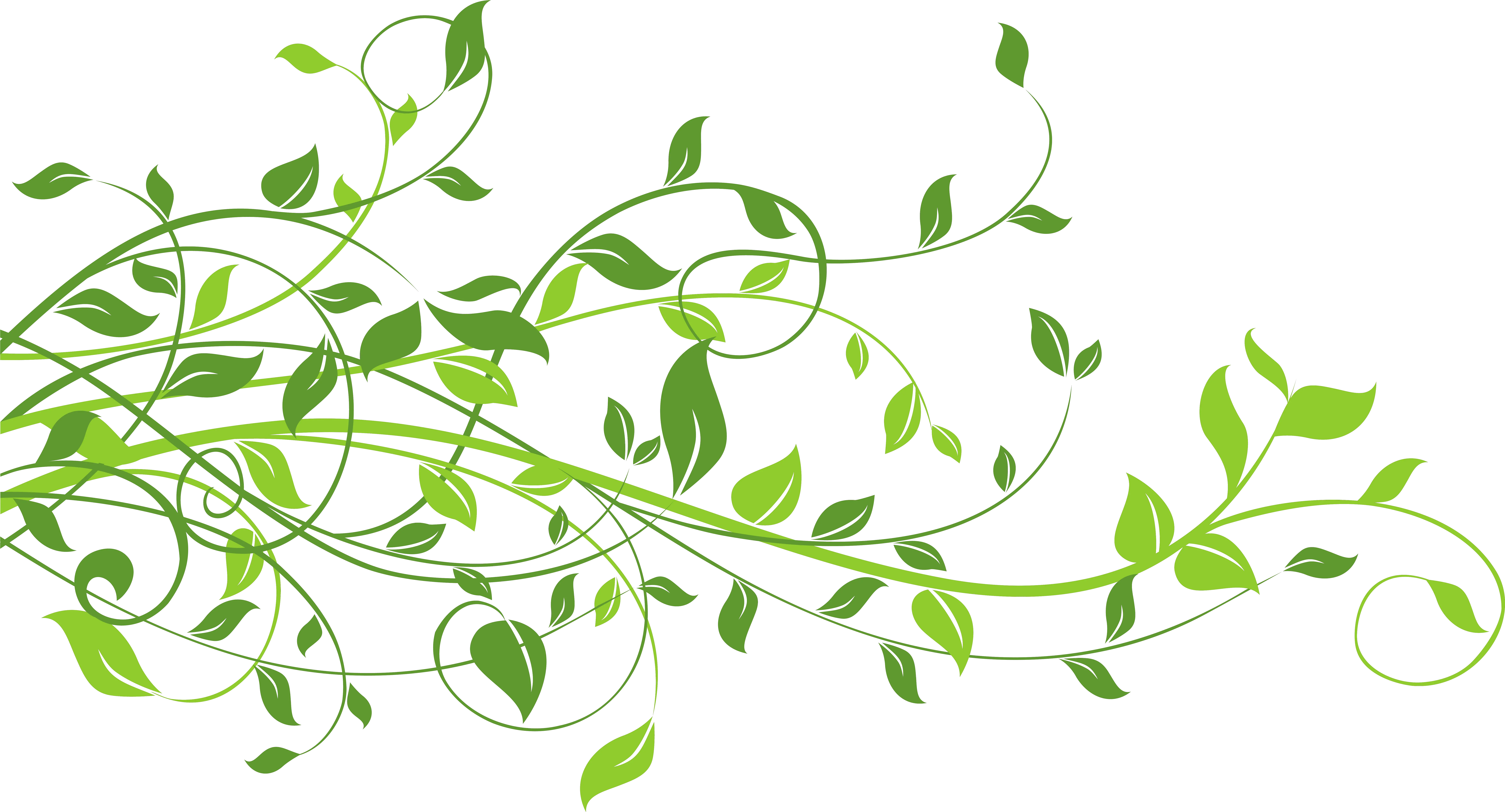 Spring Decor With Leaves Png Clip Art Image