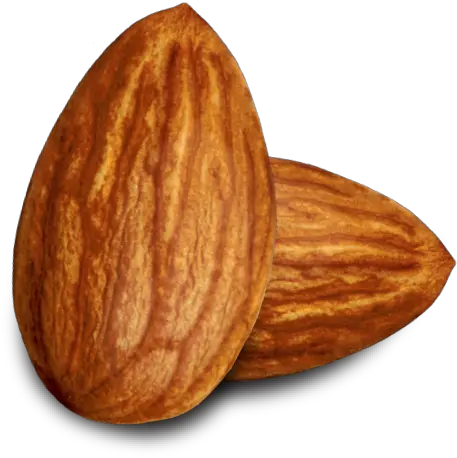 Almond Png Pic Background Almond Clipart
