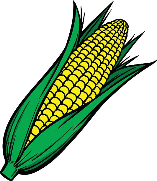 Corn Cob Clipart Transparent Png Clip Art Corn Cob