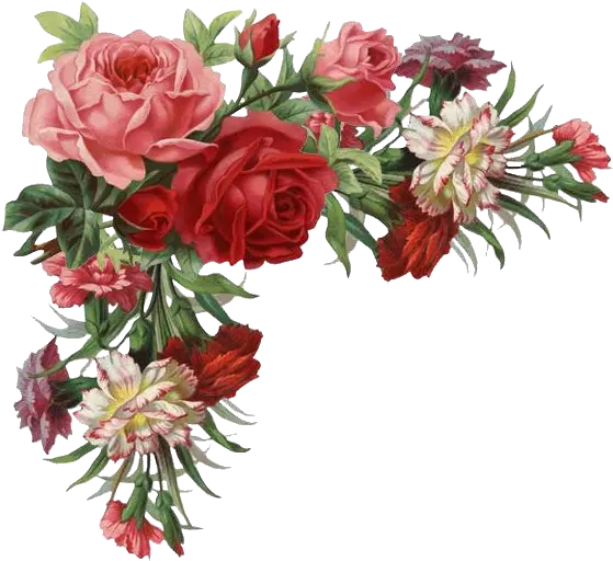 Vintage Floral Corner Border Png