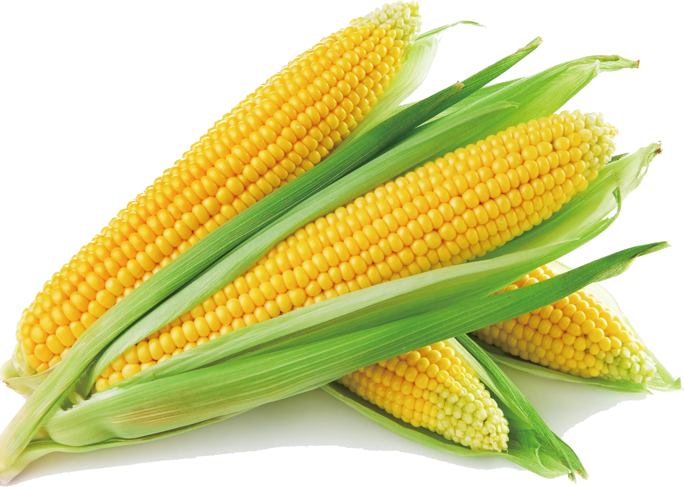 Sweet Corn Corn On The Cob Corn Soup Maize Vegetable Corn Png