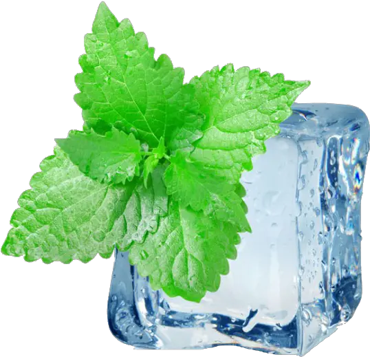 Peppermint Png Hd Images Ice Mint