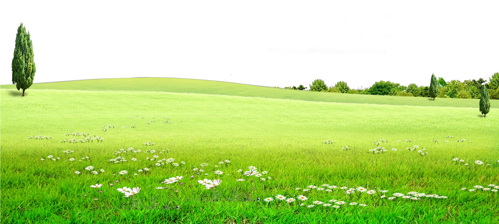 Hd Graphic Stock Land Grassland For Free Download On Green Land Background Png