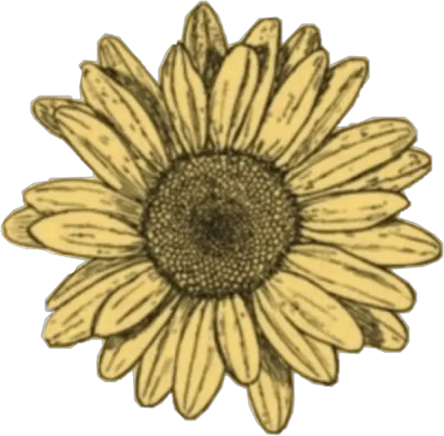 freetoedit doodle sunflower sun sunshine flowers Blue Sunflower Sticker