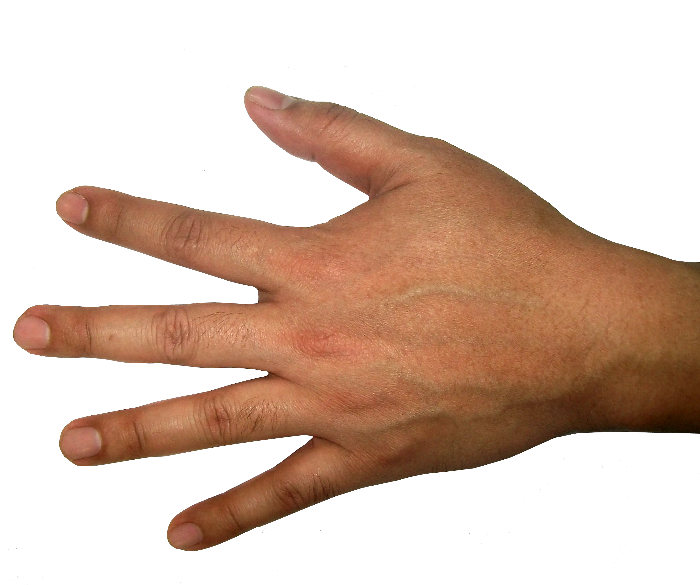 Five Finger Hand Png Image Back Of Hand Transparent