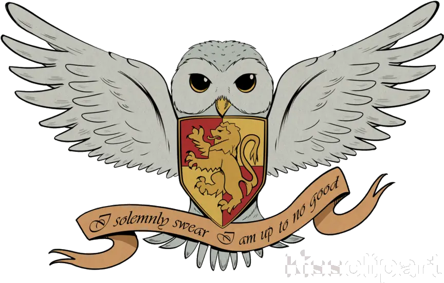 Transparent Owl Clipart Harry Potter Hedwig Drawing