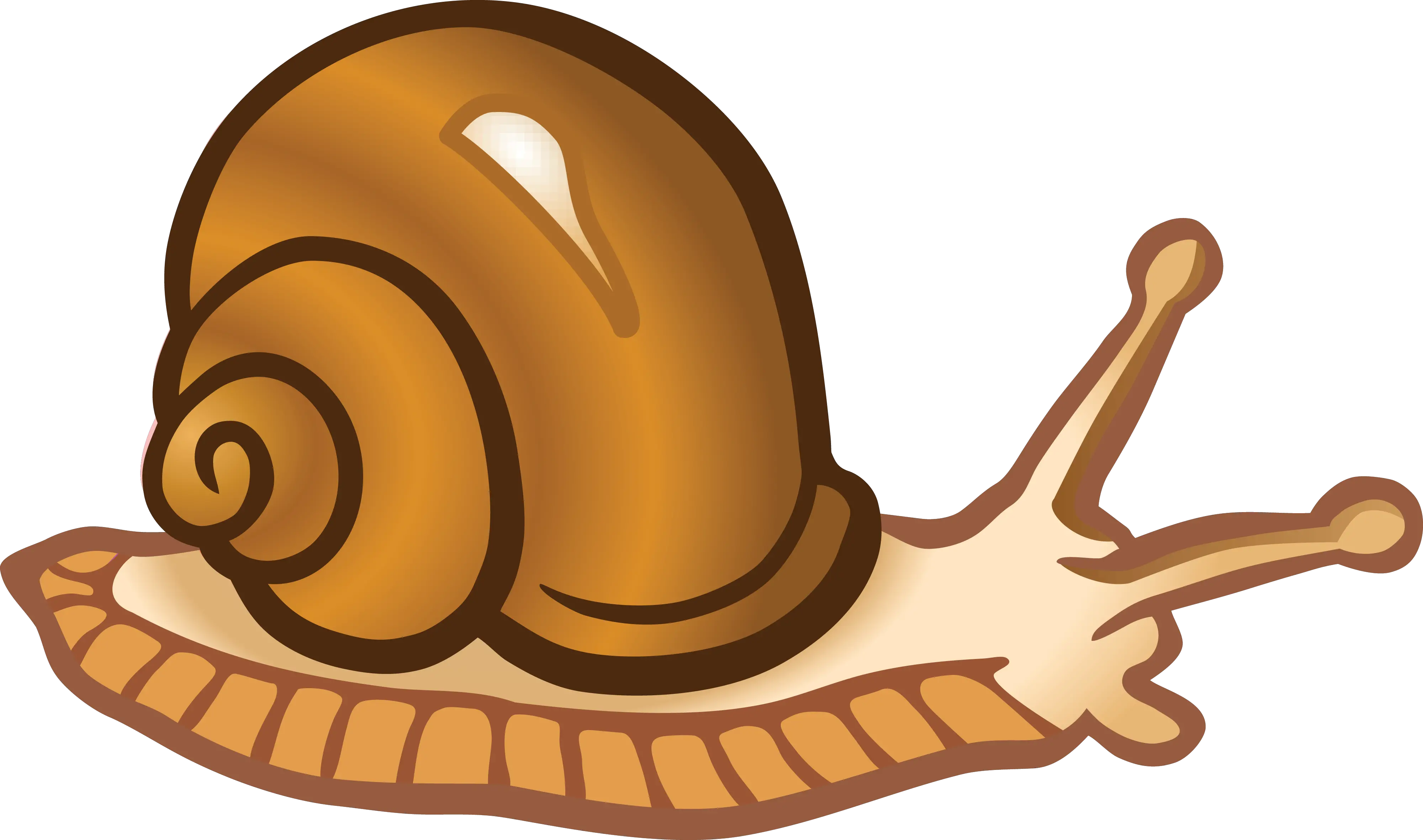 Snail Clip Art Transparent Background Snail Clipart