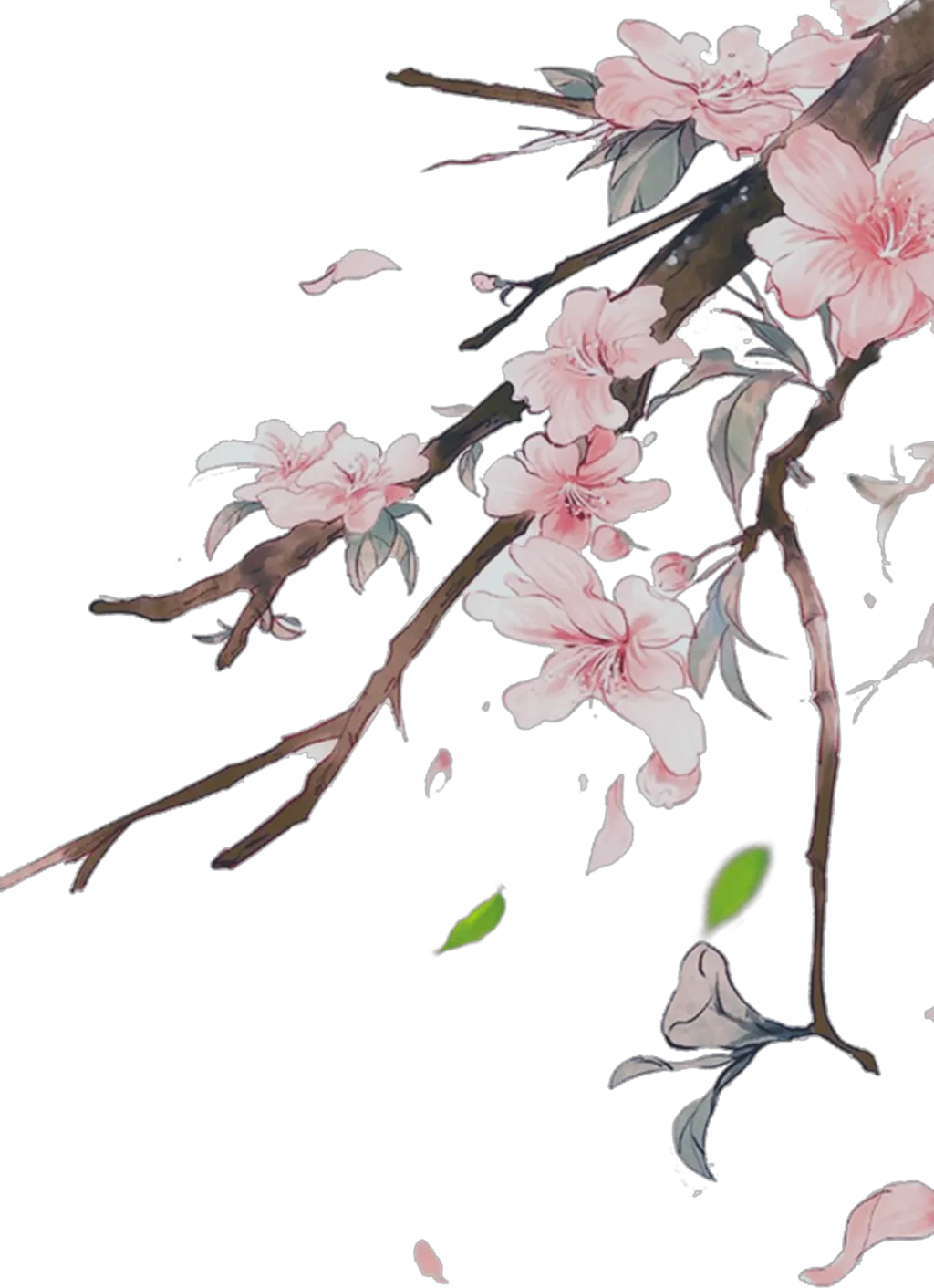 flowers pink pinkflowers japanese nature ftestickers Transparent Background Chinese Flowers