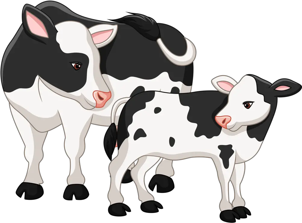 Clip Art Operation Angus Cattle Clip Clipart Cow And Calf