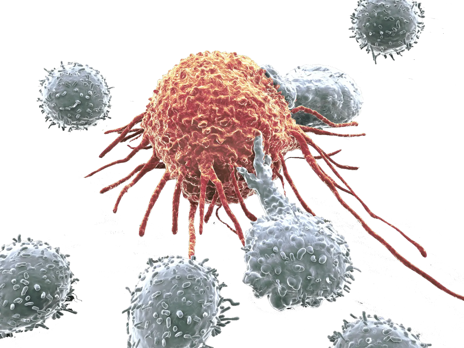 Transparent Cancer Cell Clipart Cancer Cells Picture Transparent