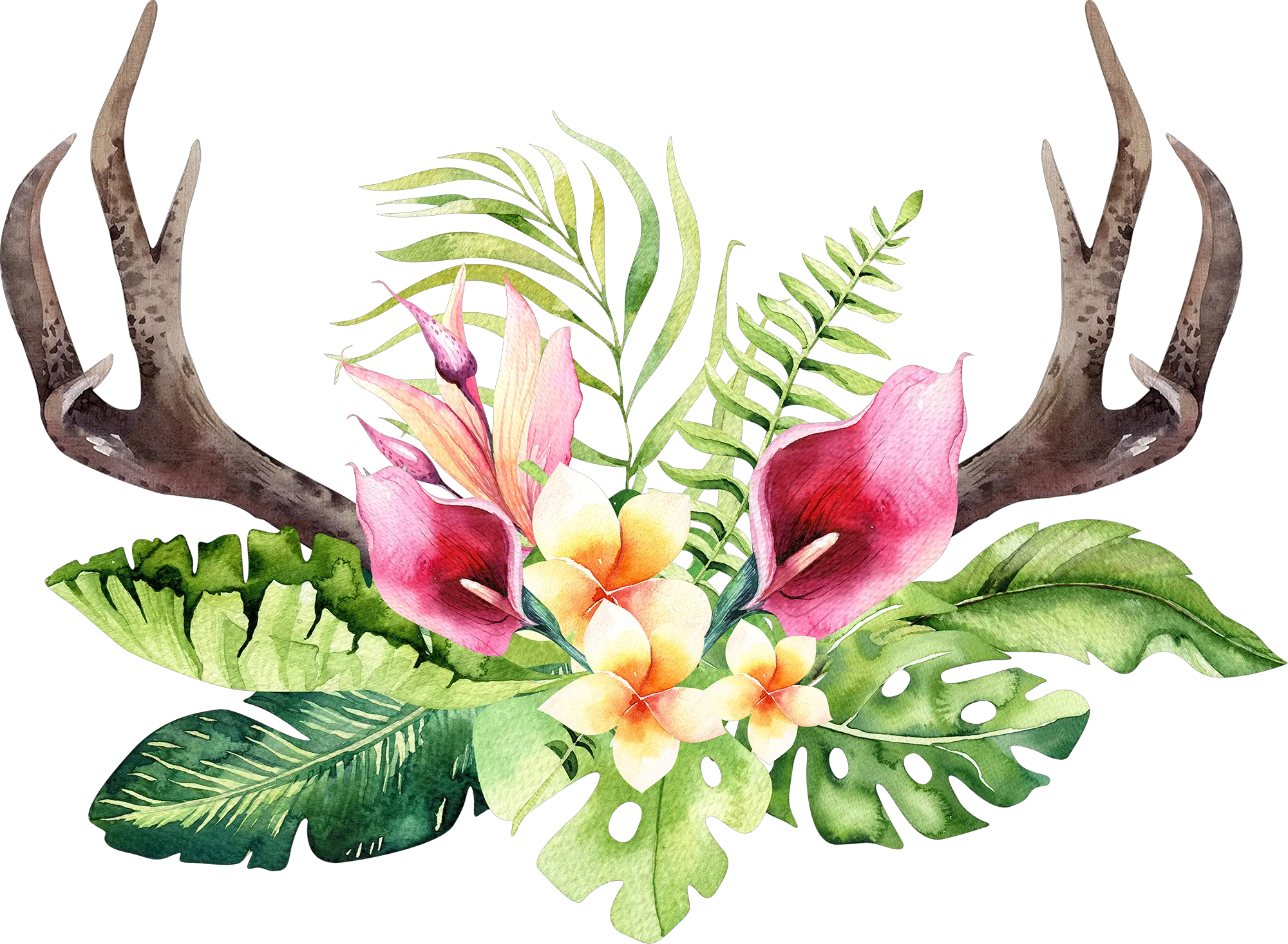 Transparent Floral Antler Clipart Watercolor Tropical Flowers Png