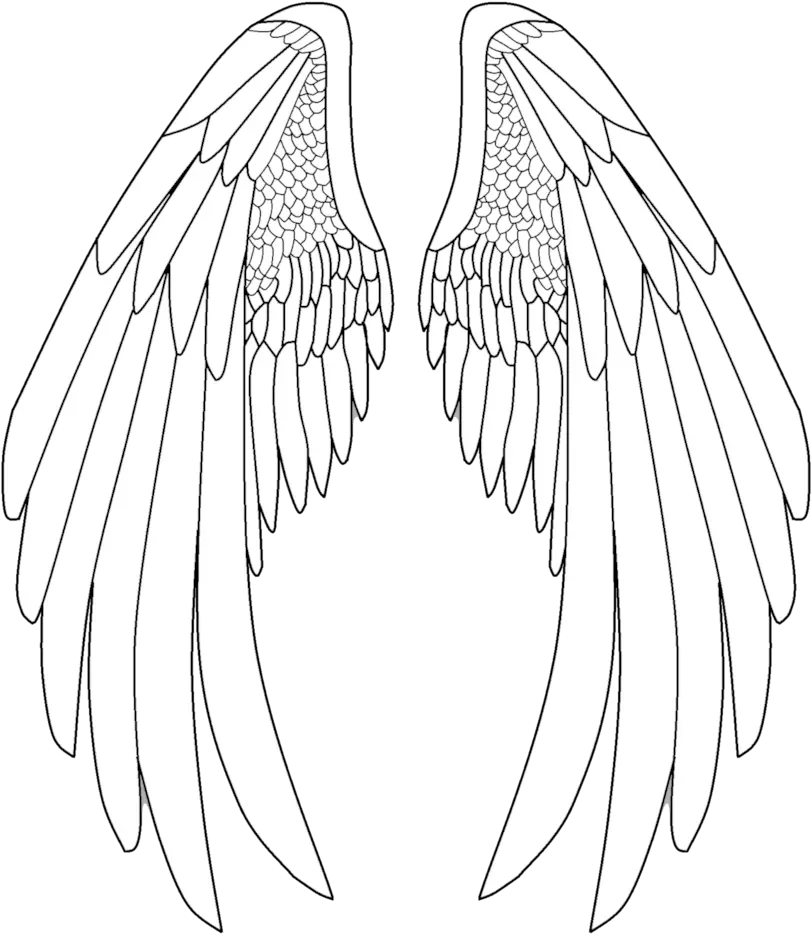 Elegant Drawing Angel Transparent Anime Angel Wings Drawing