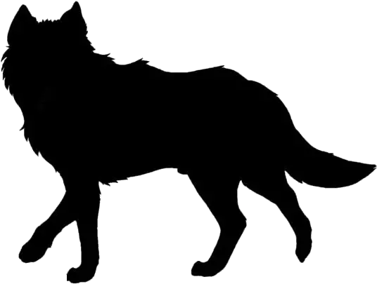 Transparent Wolf Silhouette