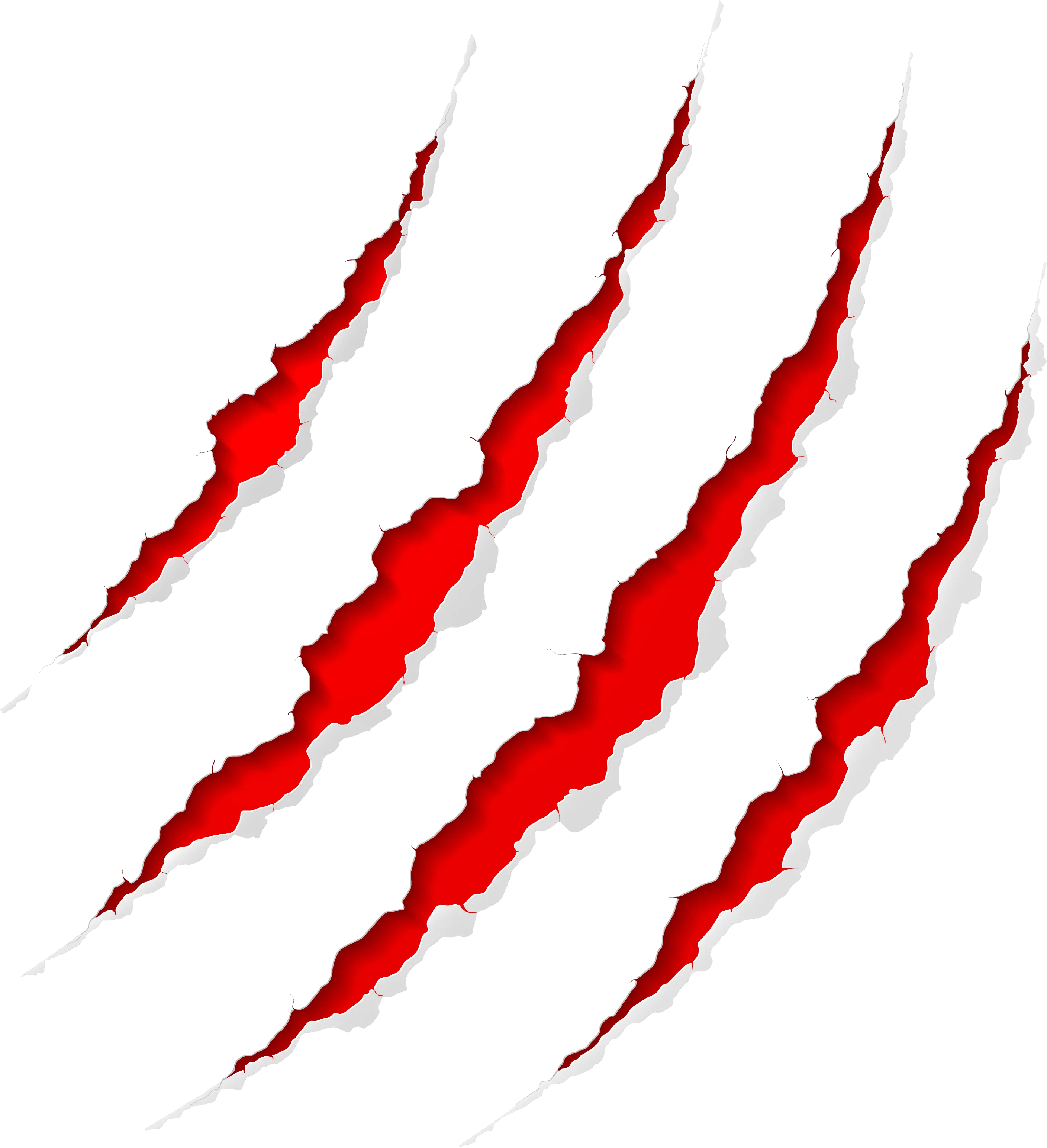 Scratches claw PNG image