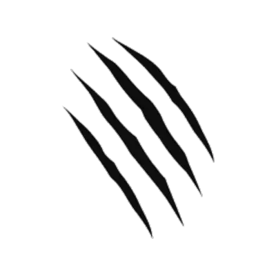 Scratches claw PNG image