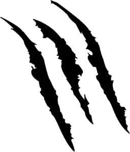 Scratches claw PNG image